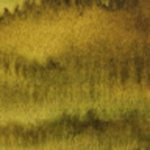 Meet your Posher, Shea